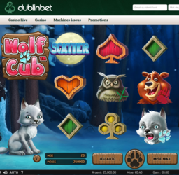 Wolf Cub slot machine from Netent on Dublinbet