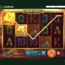 Book of Gold slot available at Dublinbet