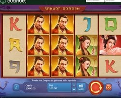 Machine à sous Sakura Dragon de Playson est sur Dublinbet