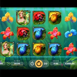 Wings Of Riches slot machine available on Lucky31