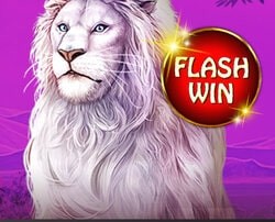 Joka Casino offre une Promo Flash Wins sur le slot Majestic King.