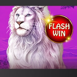 Joka Casino offre une Promo Flash Wins sur le slot Majestic King