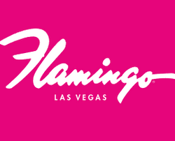 Une joueuse décroche un jackpot au Flamingo Las Vegas