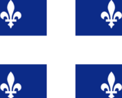 Plus d'activite de jeux en ligne au Québec durant la pandémie