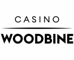 millionnaire aux machines à sous du Casino Woodbine à Toronto