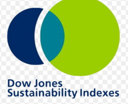 Indices du Dow Jones Sustainability World Index (DJSI)
