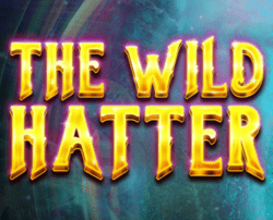 Machine a sous Wild Hatter de Red Tiger