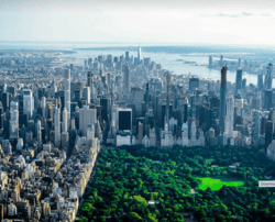 Trump NYC